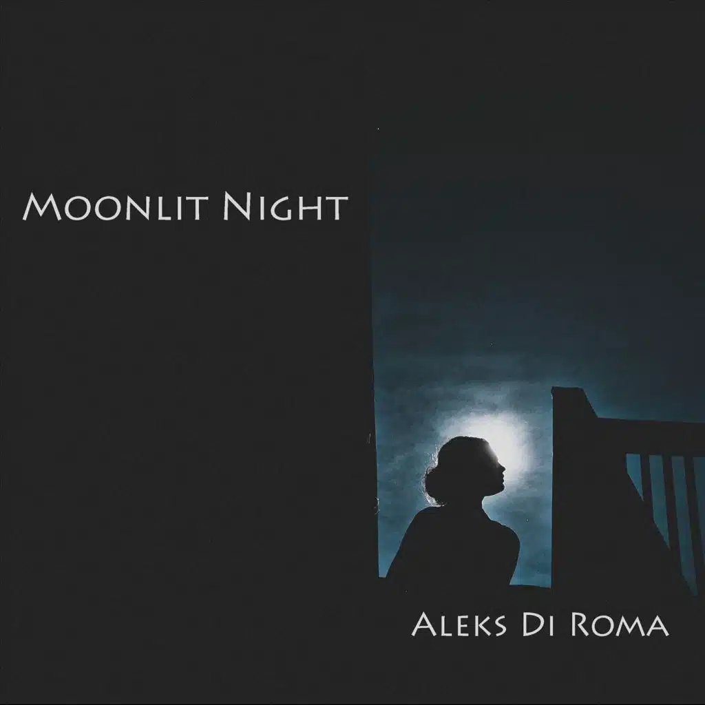 Moonlit Night