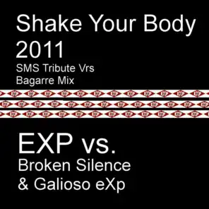 Shake Your Body 2011 (Bagarre Mix)