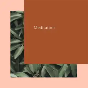 Meditation Noise