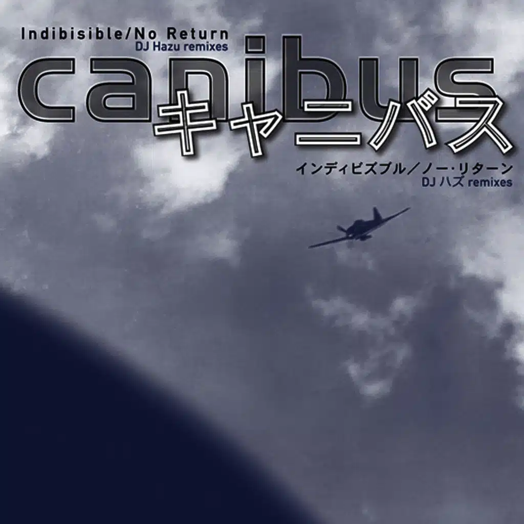 Indibisible (DJ Hazu Remix) (Japanese Import) (12")