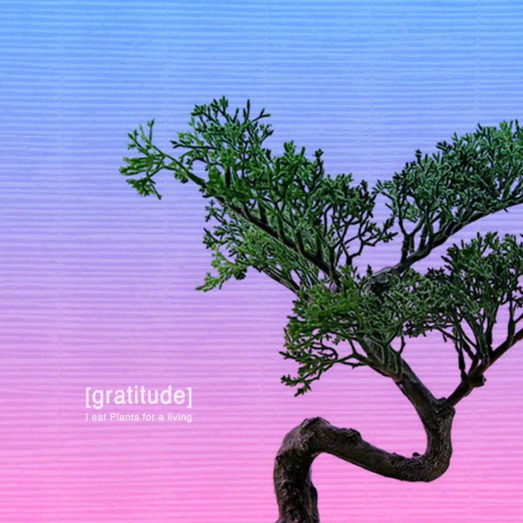 Gratefulness