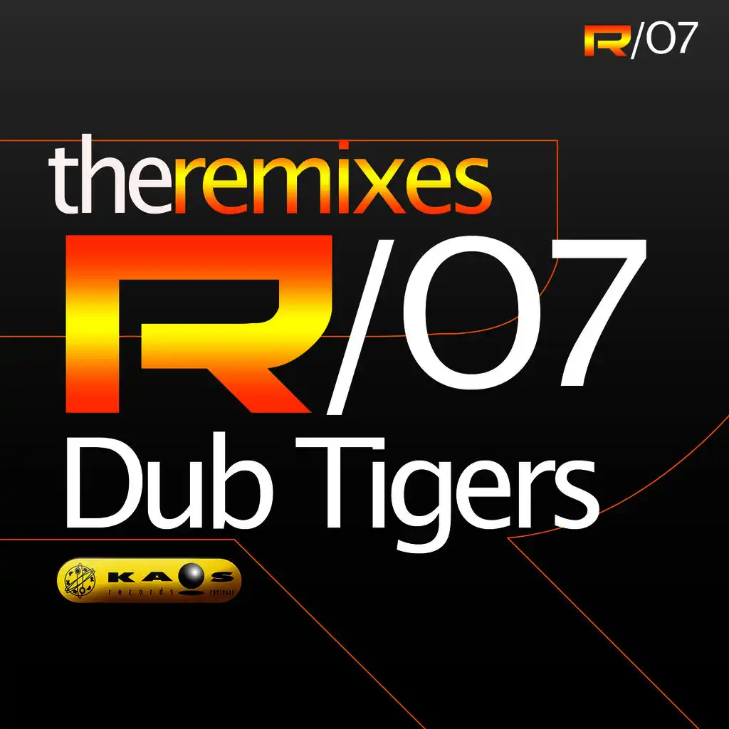 Hands Up In The Air (Dub Tigers Remix)