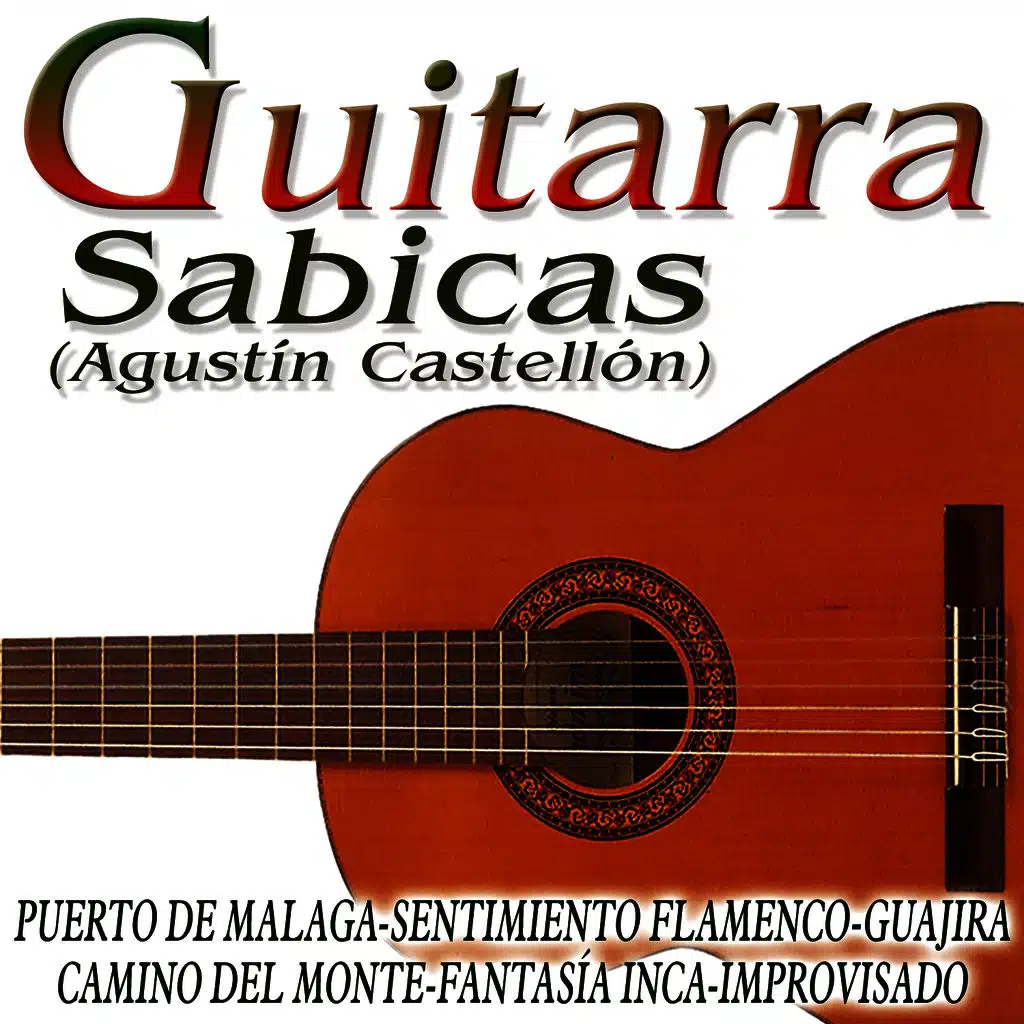 Guitarras
