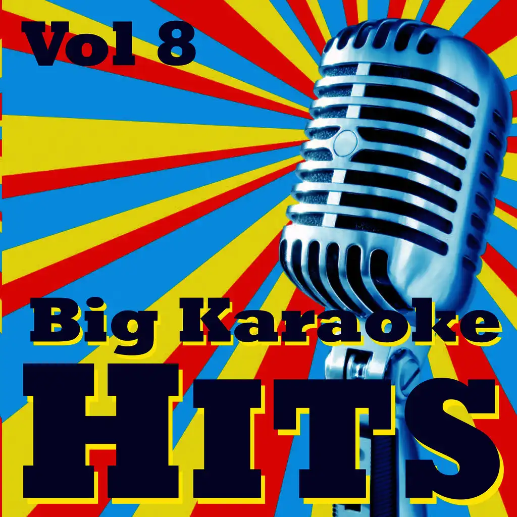 Big Karaoke Hits Vol.8