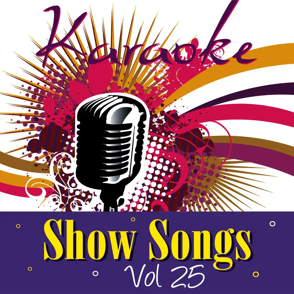 Karaoke - Show Songs Vol.25