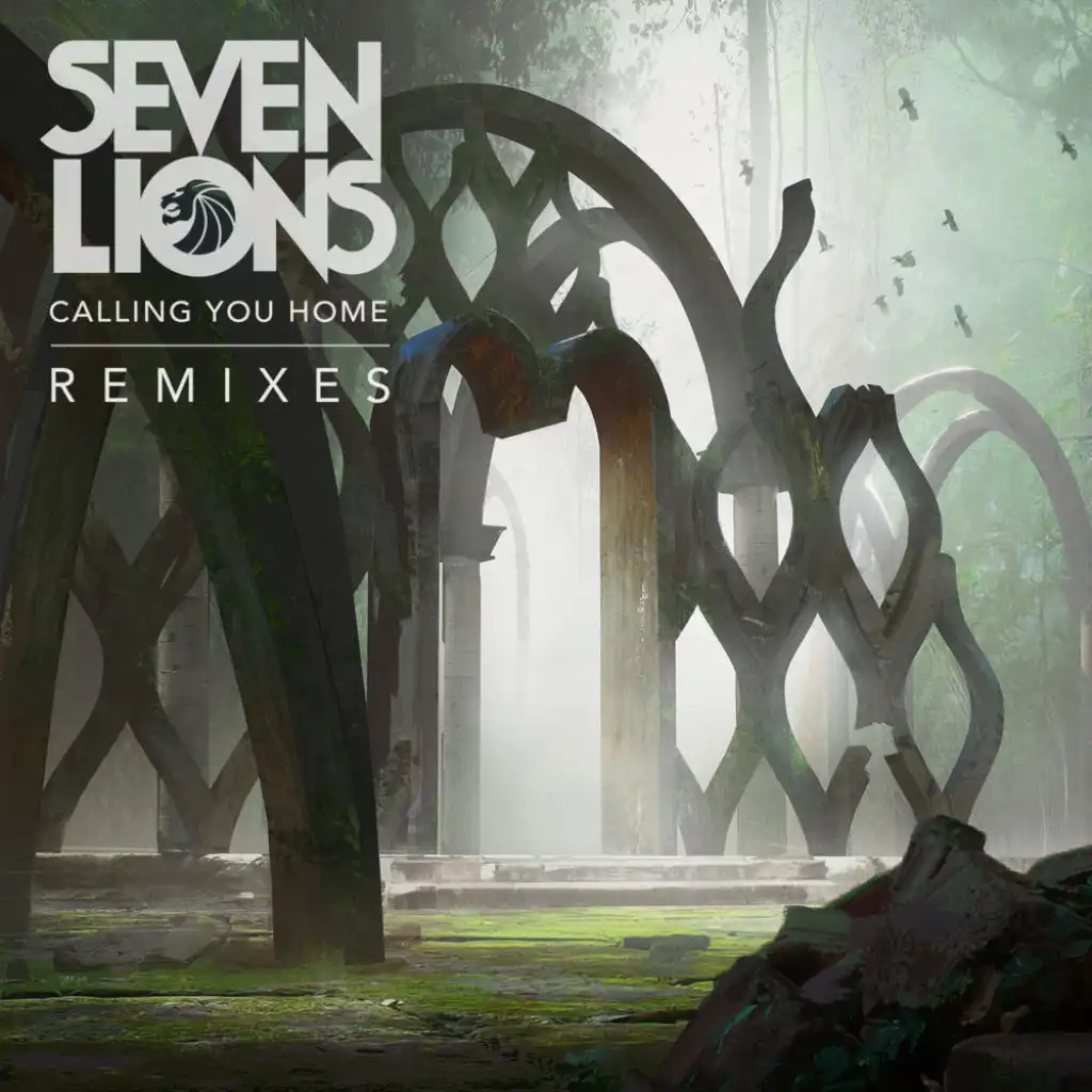 Calling You Home (feat. RUNN) [Remixes]