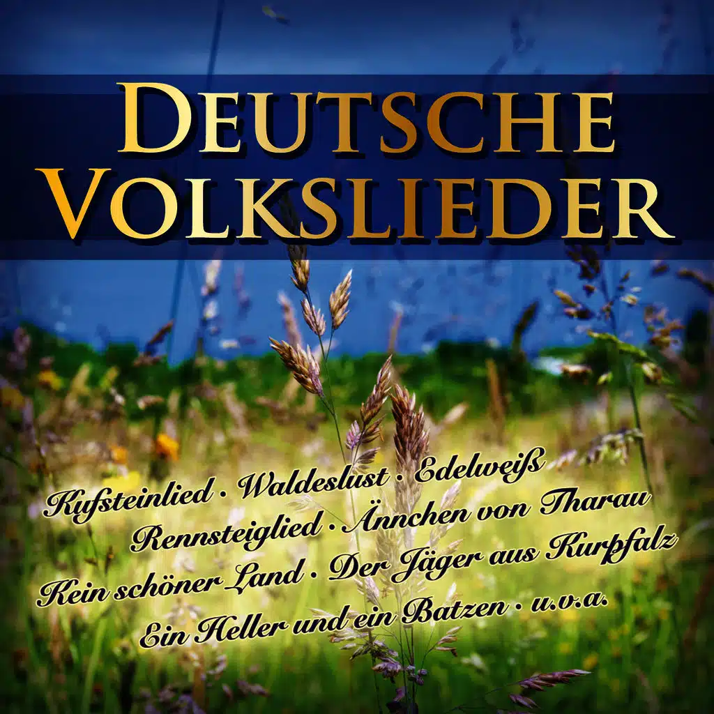 Auf der Lüneburger Heide