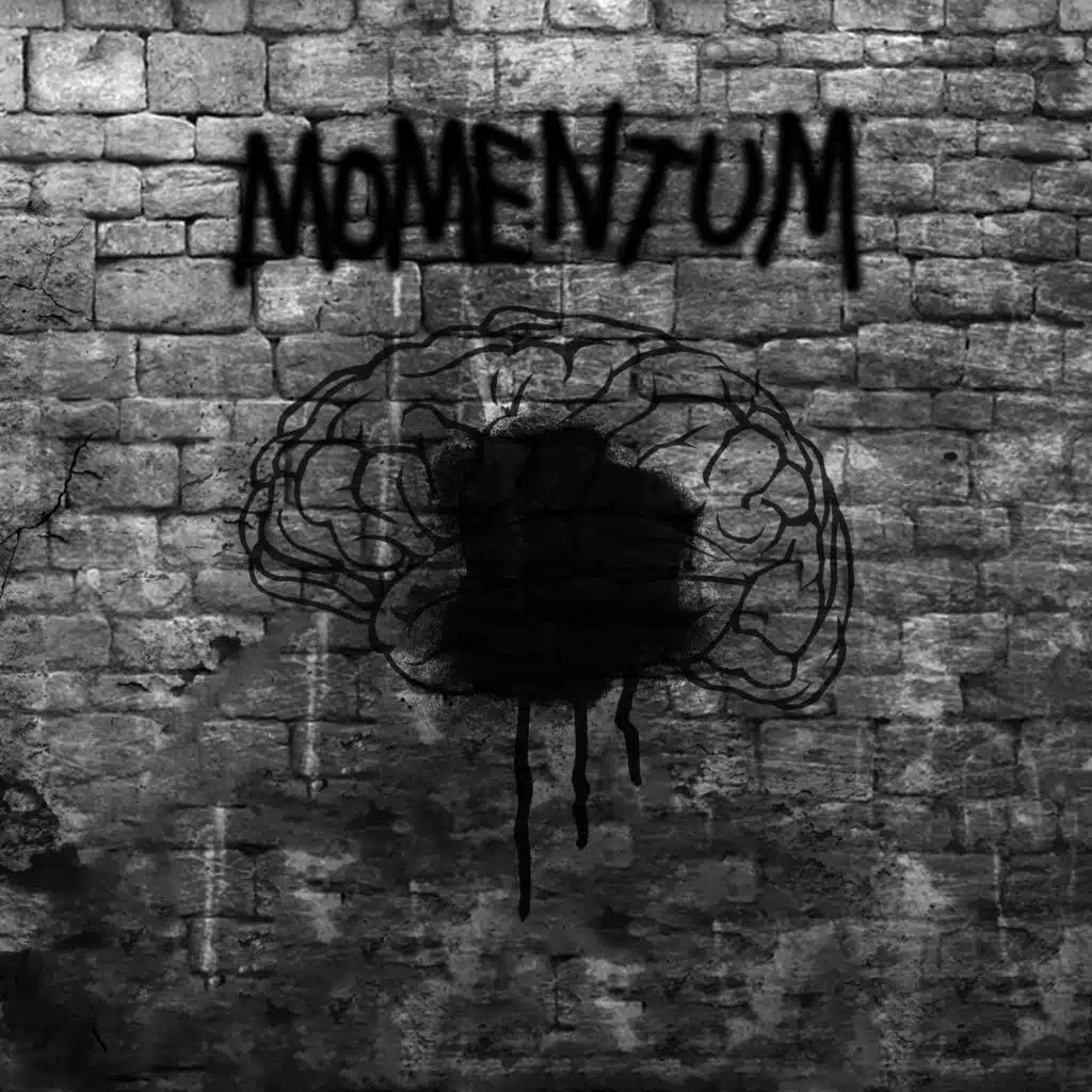 Momentum