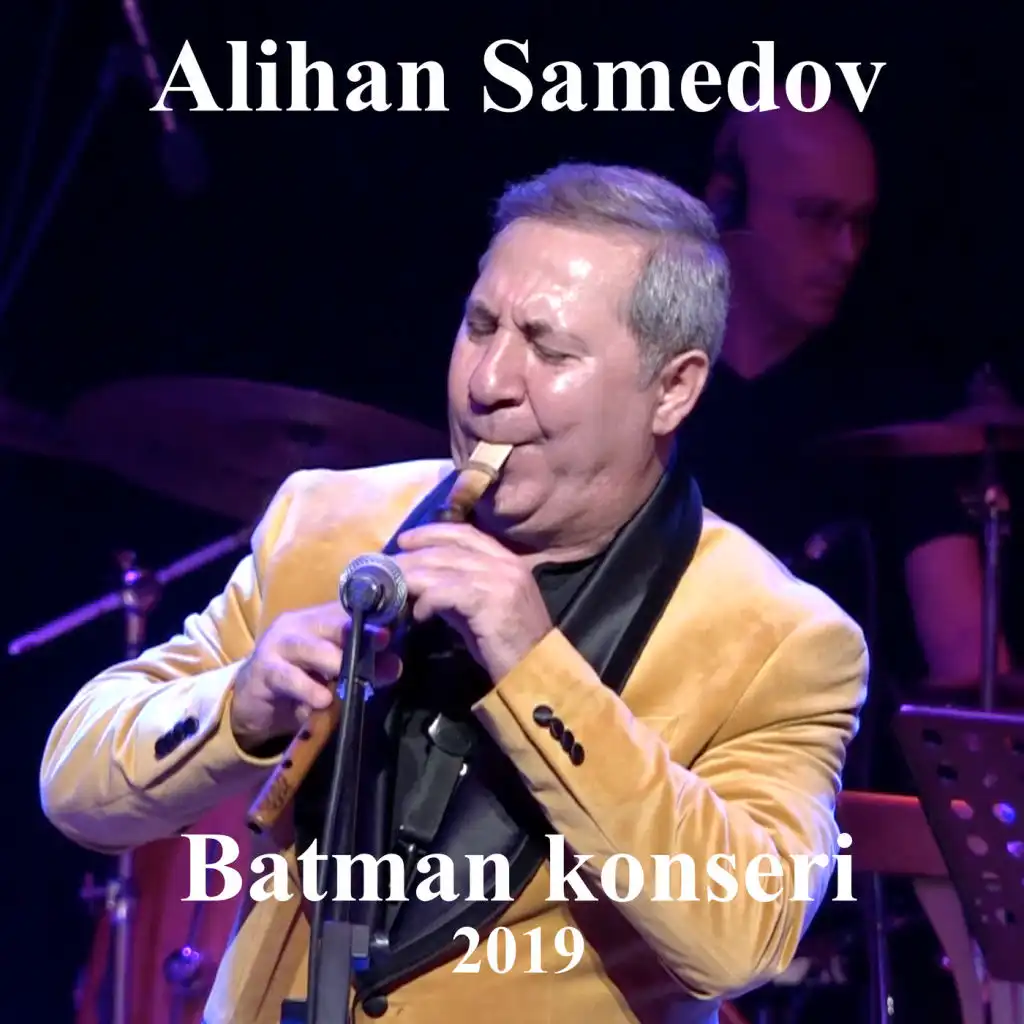 Batman Konseri (2019)