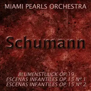 Miami Pearls Orchestra