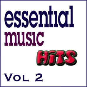 Essential Music Hits Vol 2