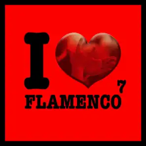 I Love Flamenco Vol.7
