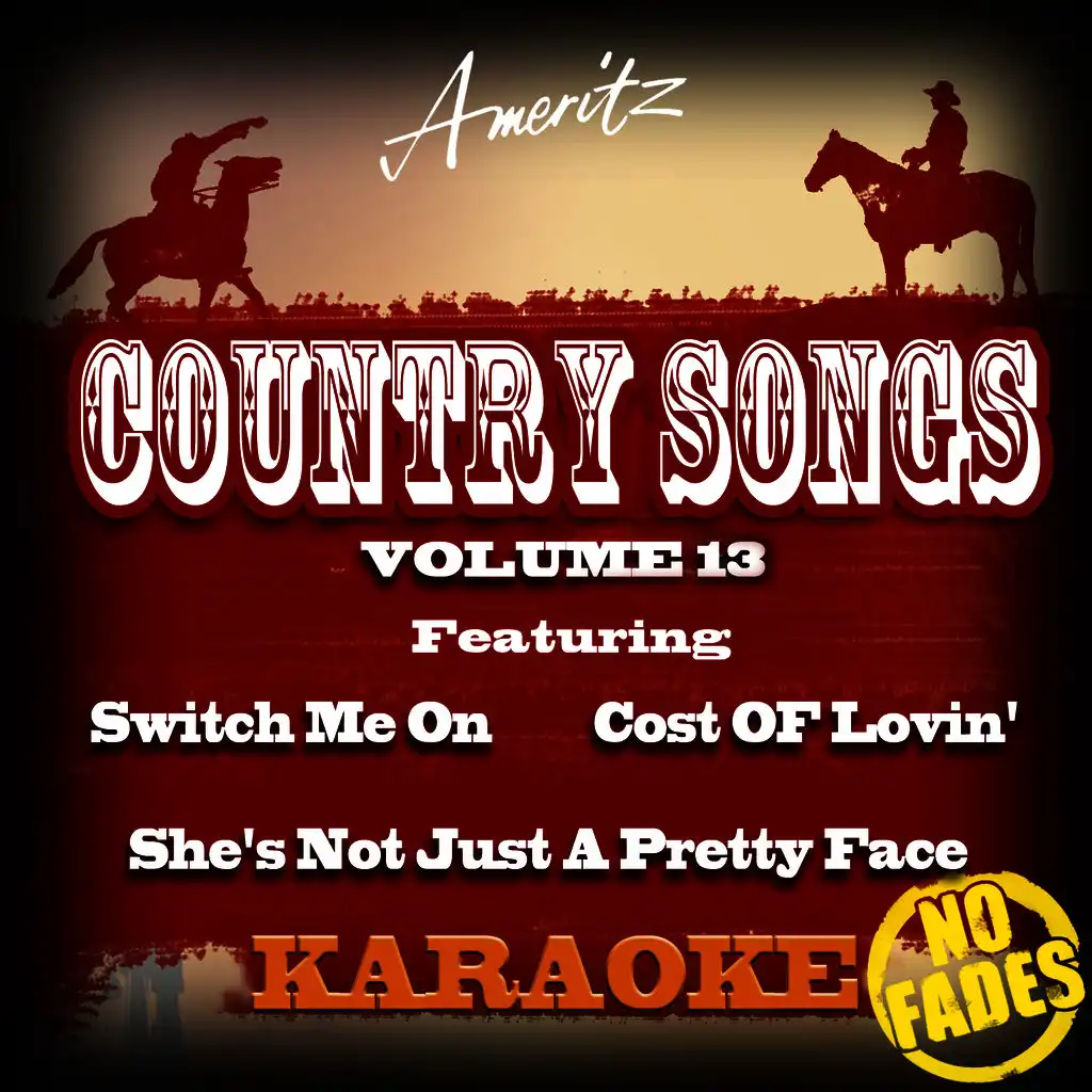 Karaoke - Country Songs Vol. 13