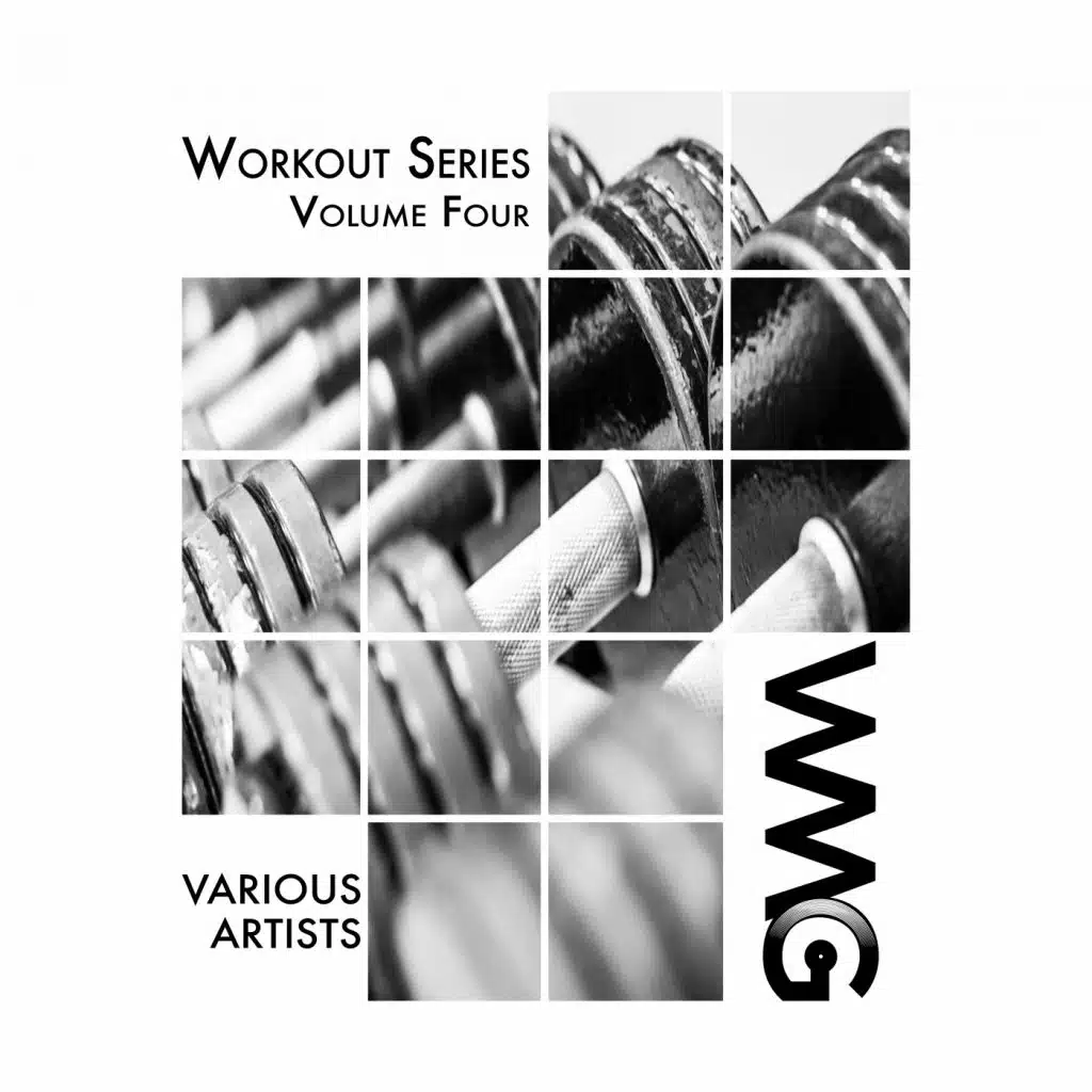 Aviary (Workout Mix 2)