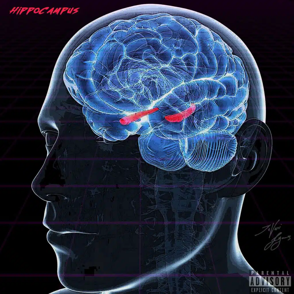 Hippocampus