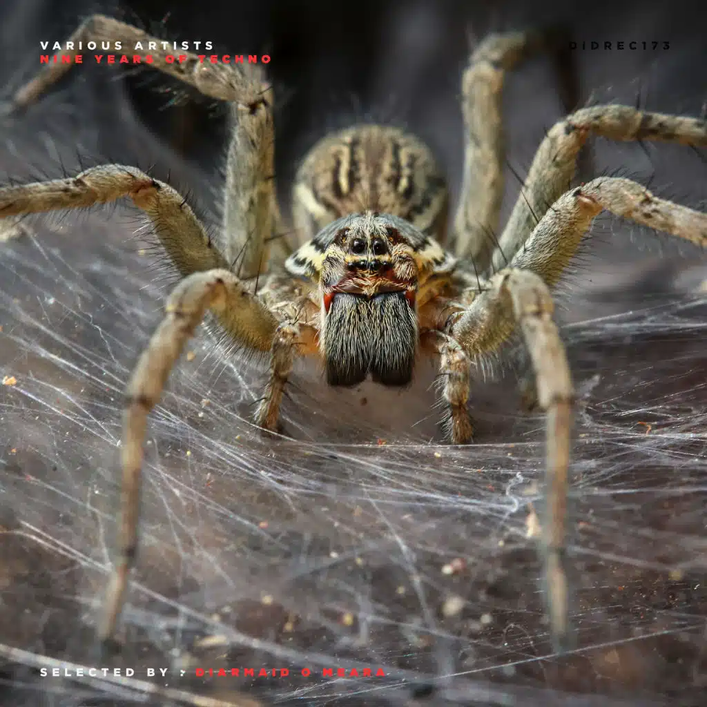 Twitched (Oliver Kucera's Glitched Rework)