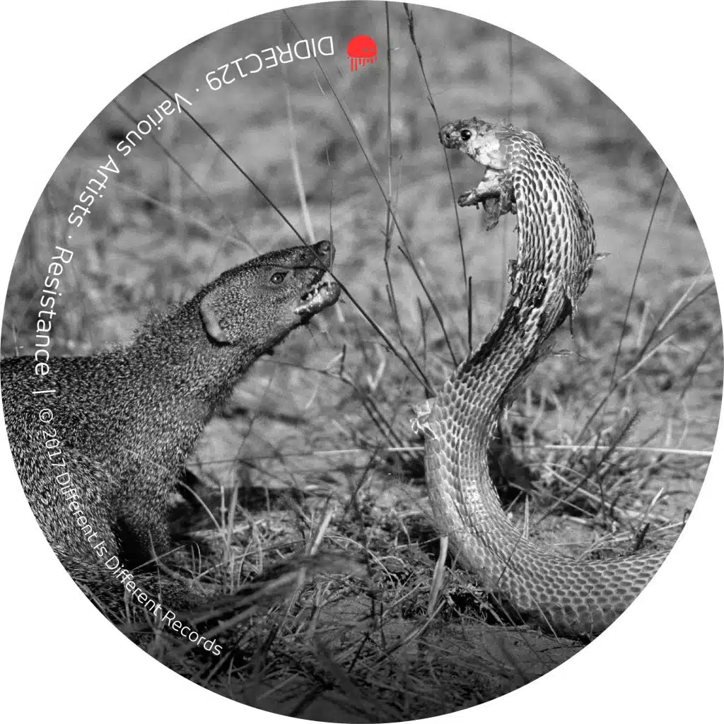 Mirage (V1L Terror Degradation Side)