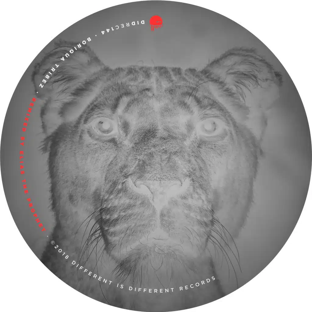 Splash (Elias The Prophet Remix)