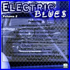 Electric Blues, Vol. 2