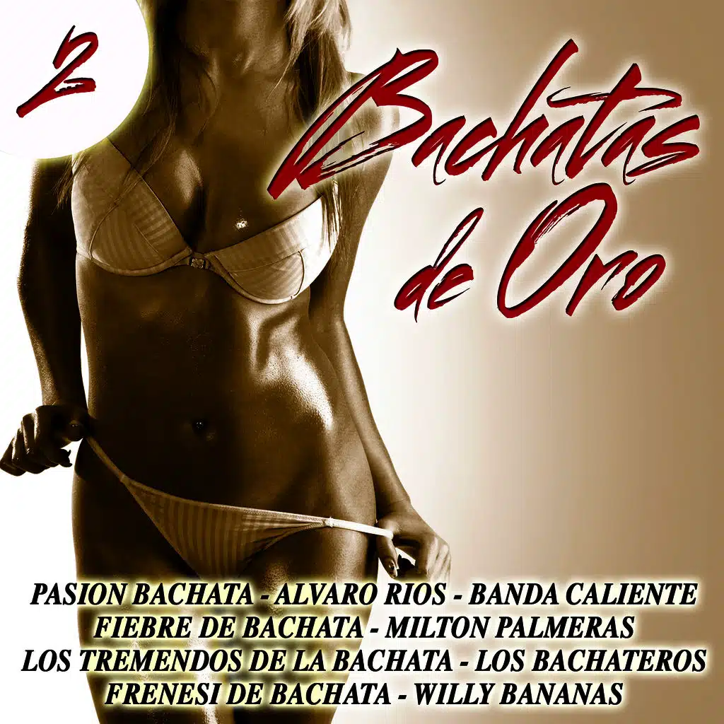 Bachatas de Oro Vol. 2