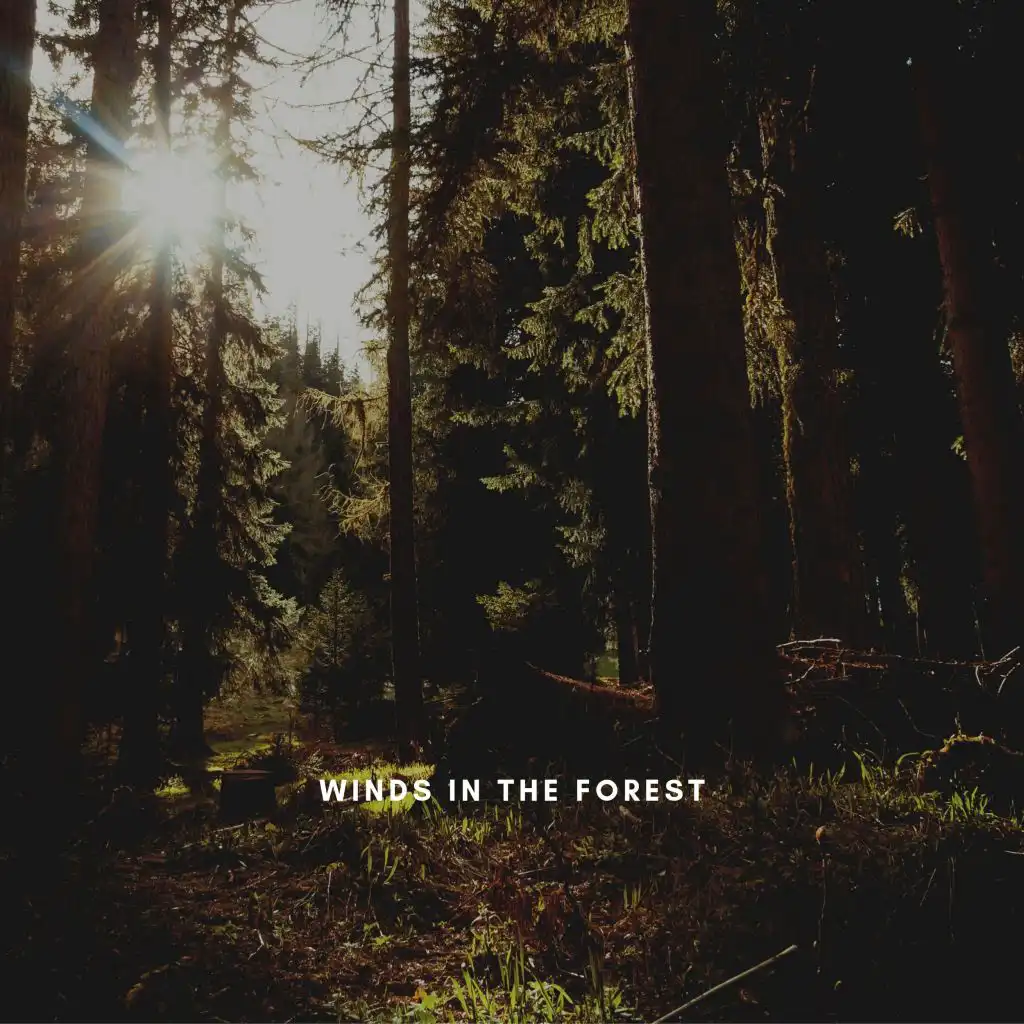 The Winds of the Forest