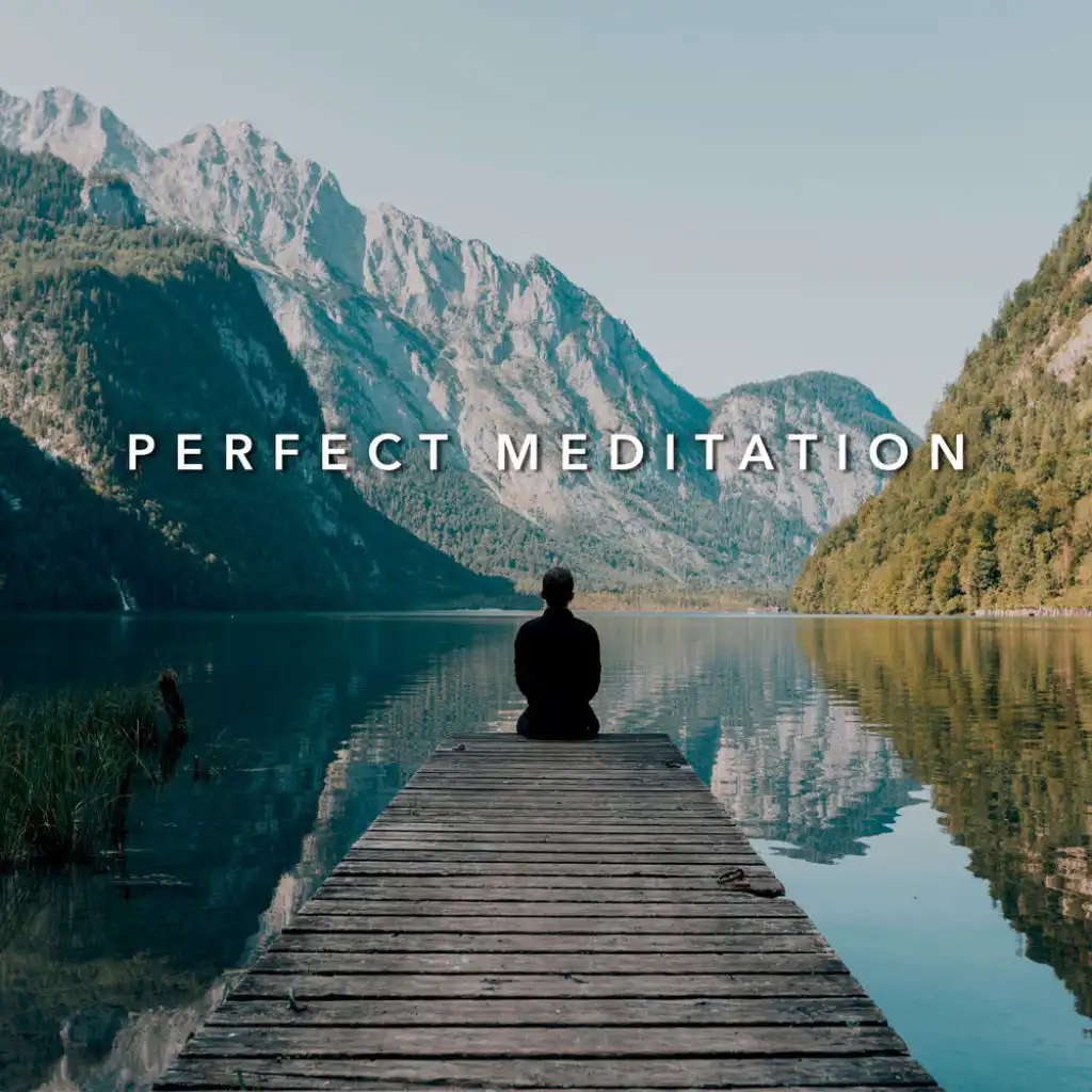 Perfect Meditation