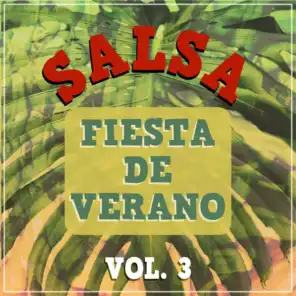 Salsa - Fiesta de Verano, Vol. 3