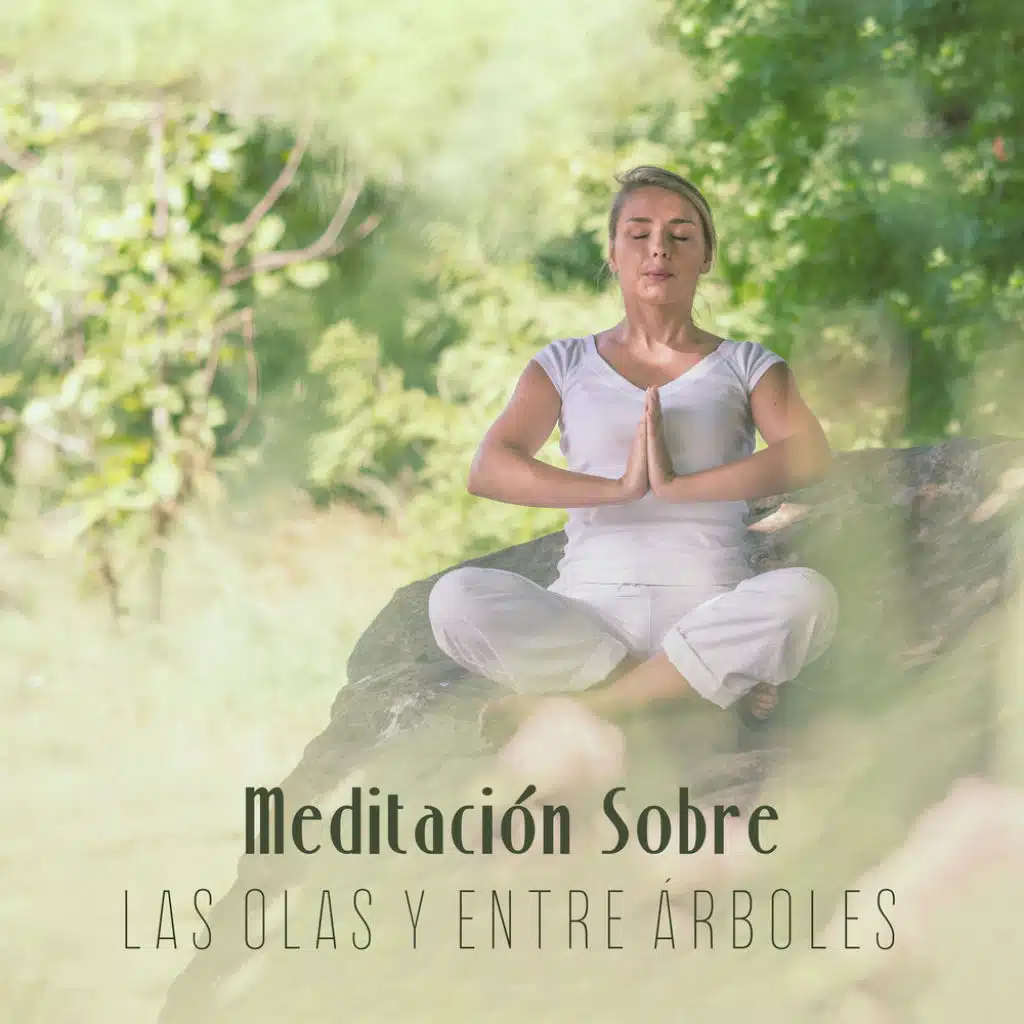 Meditación Sobre las Olas y Entre Árboles