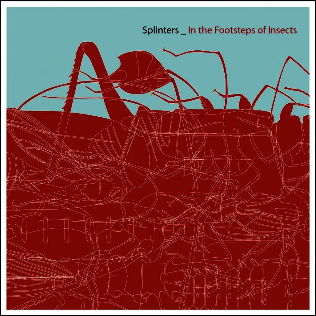 In the Footsteps of Insects