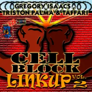 Cell Block Studios Presents: Linkup Vol, 2