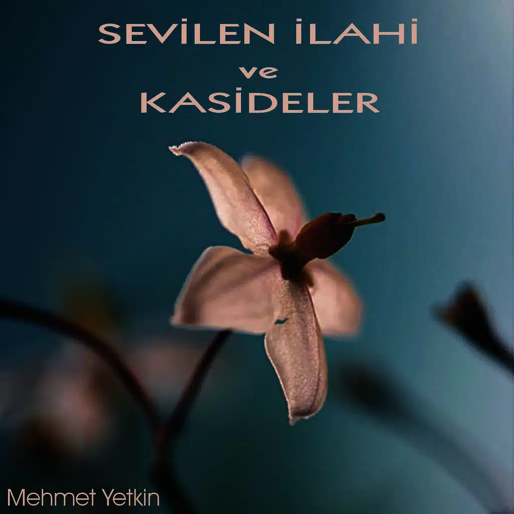 Sevilen İlahi ve Kasideler