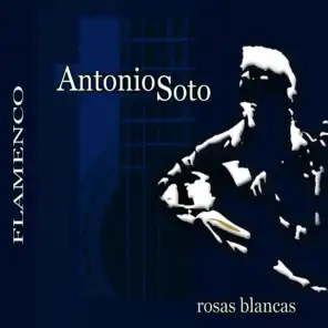 Rosas Blancas (Bulerías) [ft. Isabel Soto ]