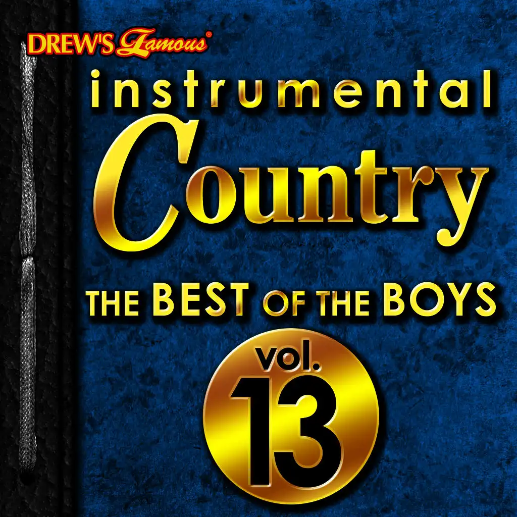 Instrumental Country: The Best of the Boys, Vol. 13