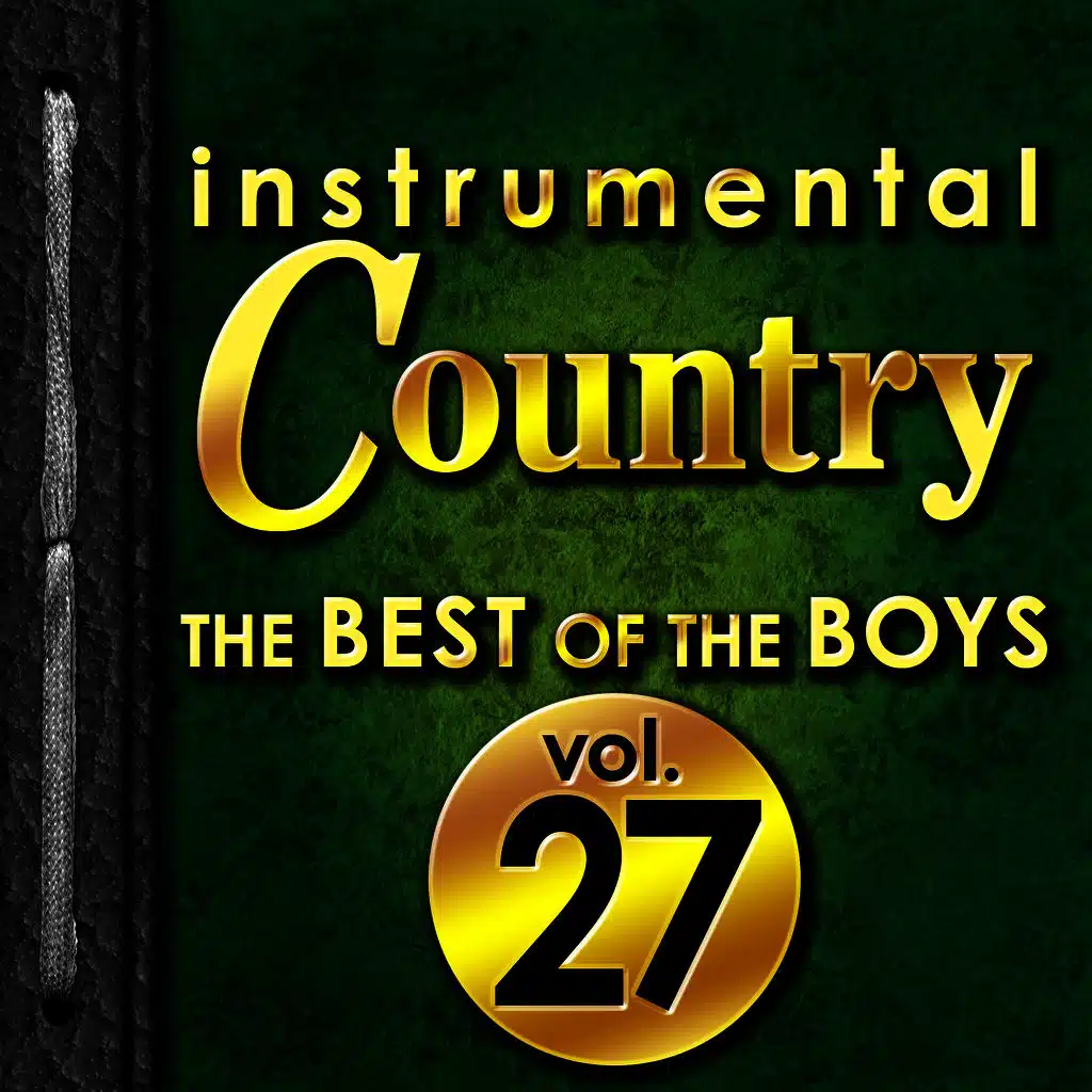 Instrumental Country: The Best of the Boys, Vol. 27