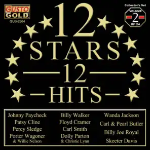 12 Stars - 12 Hits, Volume 2