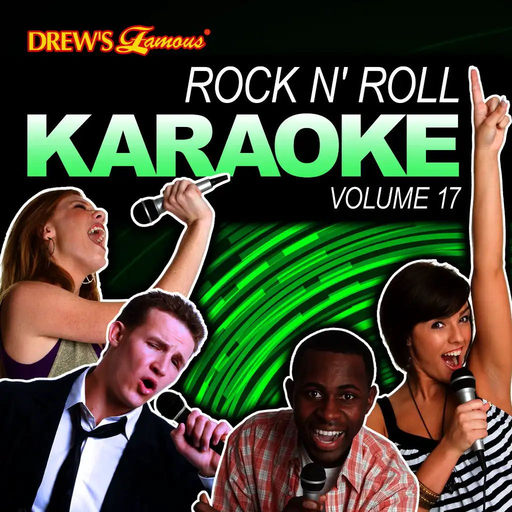 Rock N' Roll Karaoke, Vol. 17