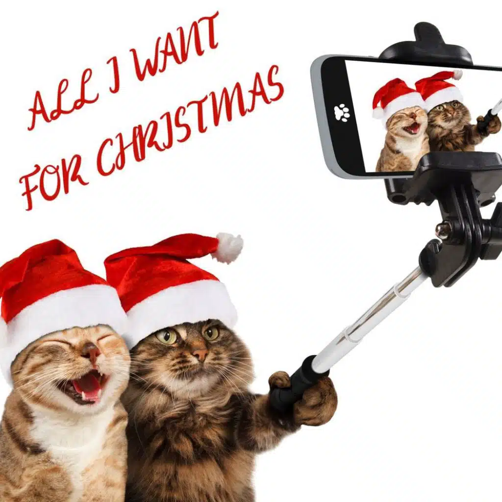 All I Want for Christmas