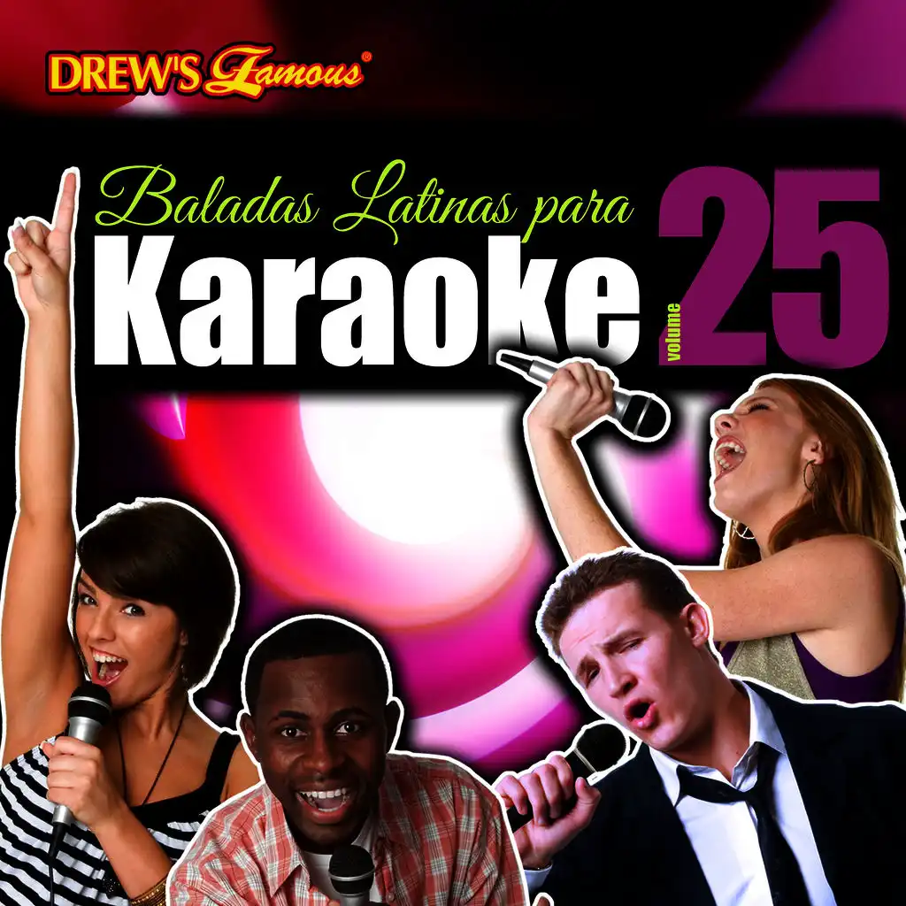 Baladas Latinas Para Karaoke, Vol. 25