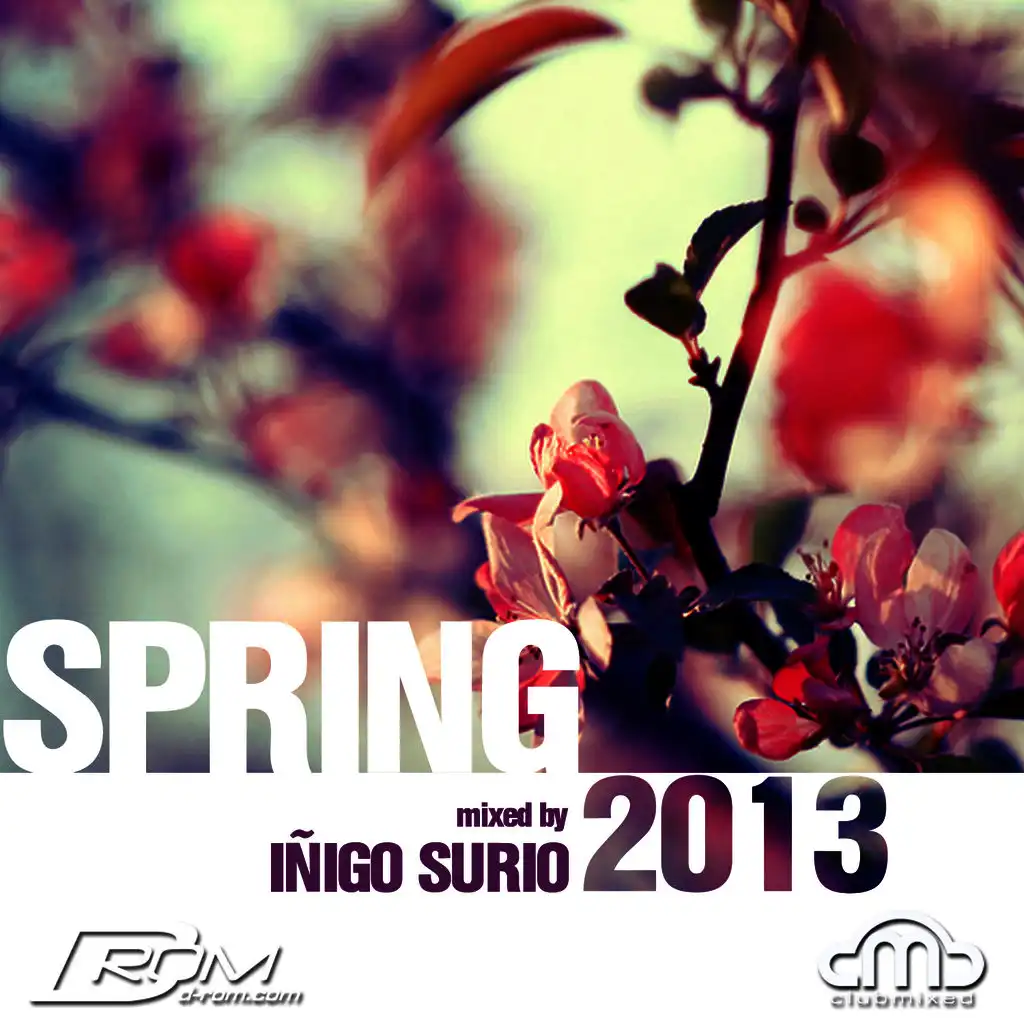 Spring 2013 (Mixed by Inigo Surio)