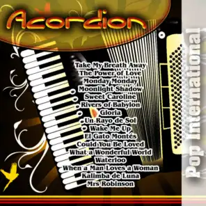 Acordion - Pop International