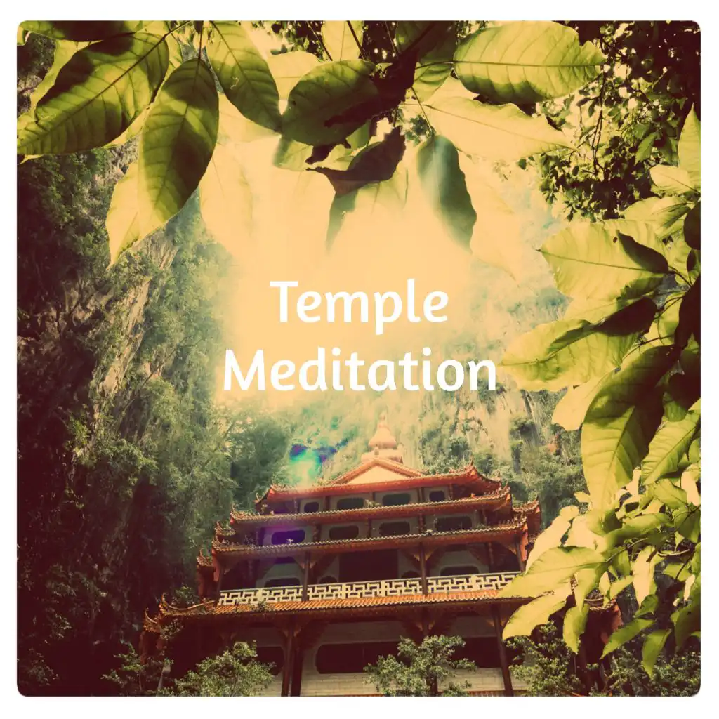 Temple Meditation