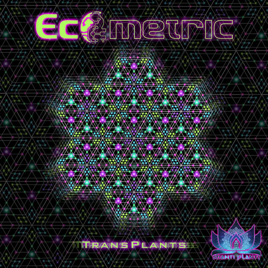 Awakening World (Ecometric Redrift)