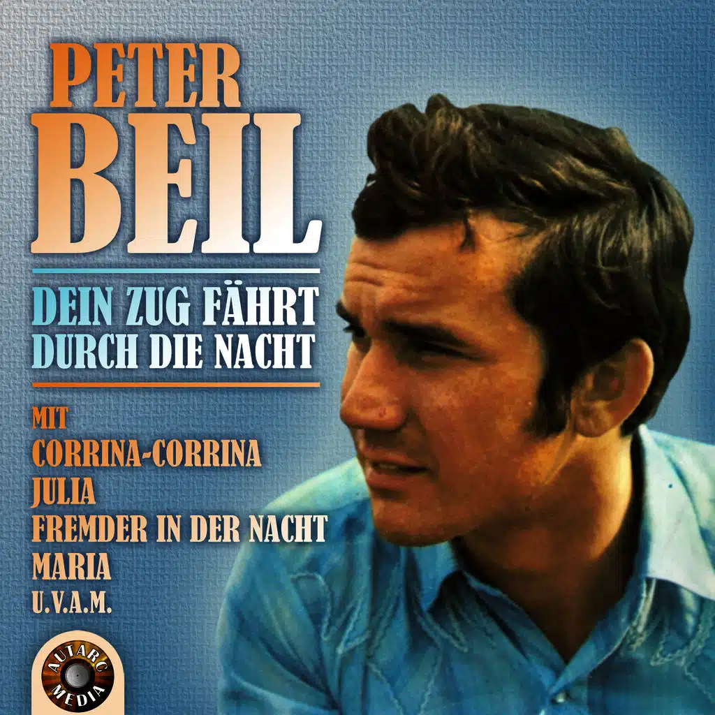 Dein Zug fährt durch die Nacht