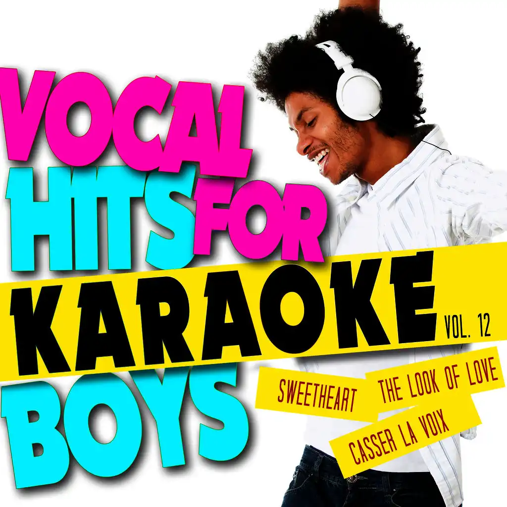 Karaoke - Vocal Hits for Boys, Vol. 12