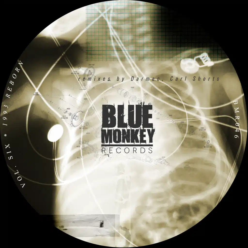 1993 Reborn (Darmec Remix)