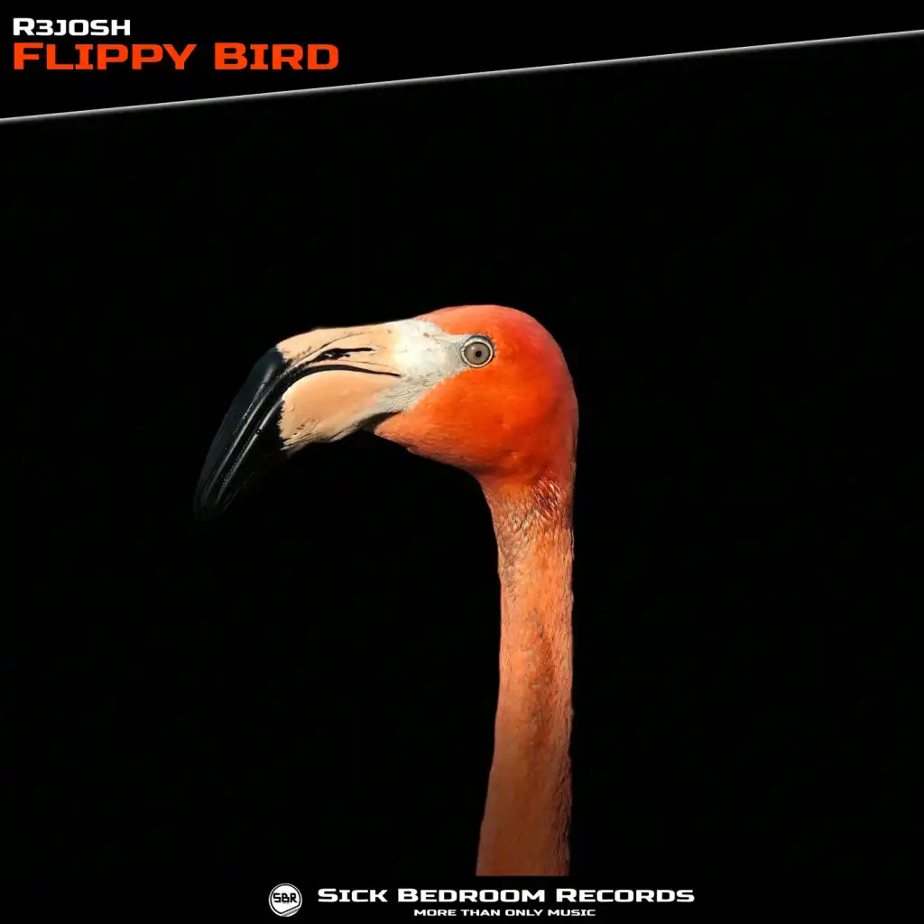 Flippy Bird