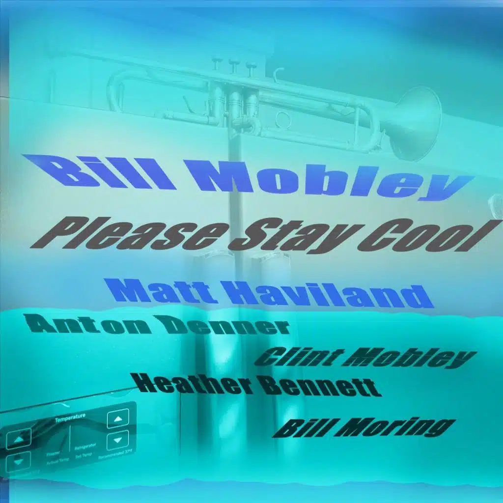 Please Stay Cool (feat. Matt Haviland, Anton Denner, Clint Mobley, Heather Bennett & Bill Moring)