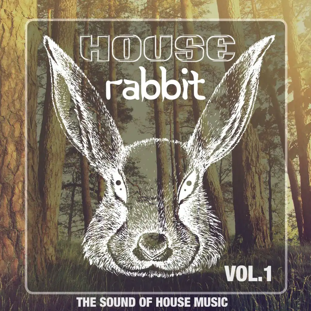 House Rabbit, Vol. 1 (The Sound of House Music)