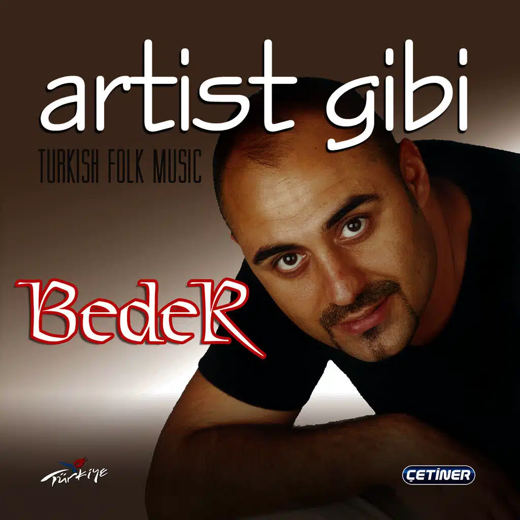 Artist Gibi