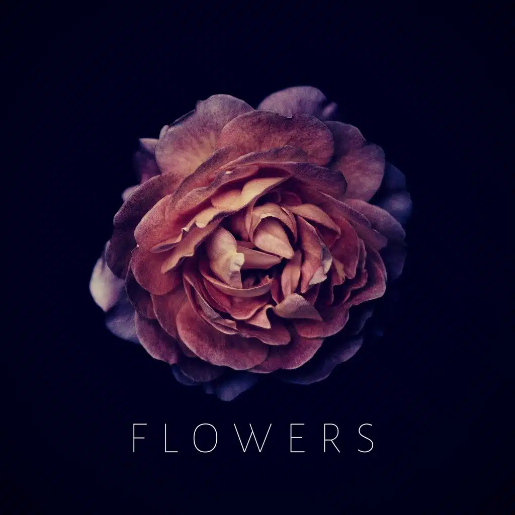 Flowers (feat. Geo)